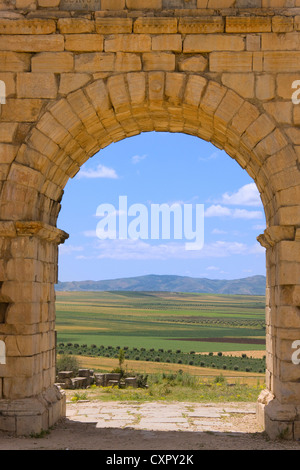 Römische Ruinen, aufgeführt als Weltkulturerbe von der UNESCO, Volubilis, Marokko Stockfoto