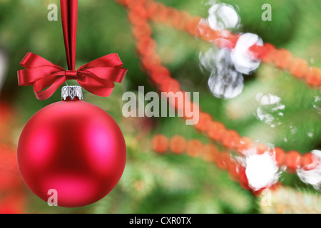 Weihnachtskugel auf Tannenzweigen. Stockfoto