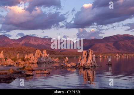 Tuffstein-Rock-Formation, mono Lake, Kalifornien, usa Stockfoto