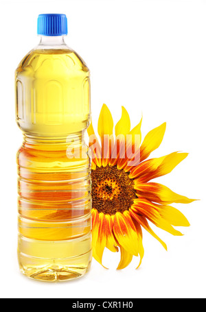 Speiseöl in einer Plastikflasche mit Sonnenblume auf weißem Hintergrund. Stockfoto