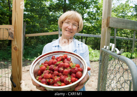 Frau halten Sieb mit Erdbeeren Stockfoto