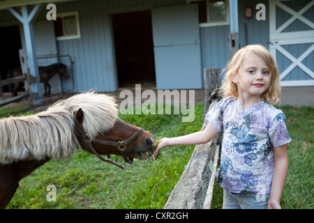 Kleines Mädchen ein Pony füttern Stockfoto