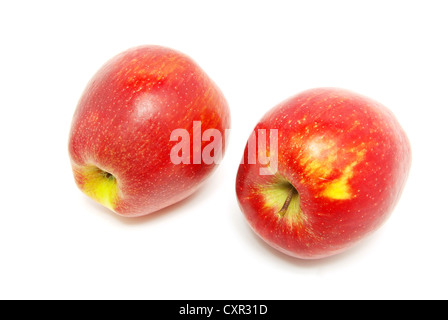 Frische Äpfel isoliert auf einem weißen Stockfoto