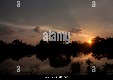 Abendrot über afrikanischen Wasserloch mit Spiegelung im Wasser. Silhouette von Bäumen als Sonne untergeht. Stockfoto