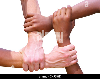 Verknüpfte Hände auf einem weißen Hintergrund als Symbol für Zusammenarbeit und Freundschaft Stockfoto