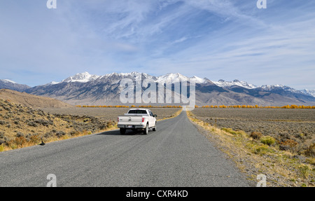 Pickup fahren auf einer Autobahn, Lost River Range, Big Lost River Valley, Mackay, Idaho, USA Stockfoto