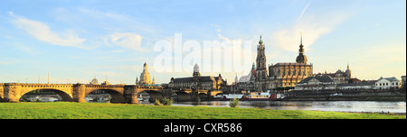 Skyline von Dresden bei Sonnenuntergang. Deutschland Stockfoto