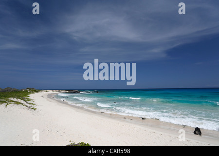 Makalawena Strand, Kona Coast, Big Island von Hawaii, USA Stockfoto