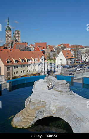 Blick über den Pinguin Verbindung vom Dach des das Ozeaneum in die Altstadt der Hansestadt Stralsund, UNESCO-Welt Stockfoto