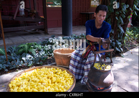 Traditionelle Herstellung von Seide, Jim Thompson House, Bangkok, Thailand, Asien Stockfoto