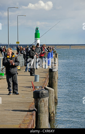 Angler am Pier-Angeln auf Hering in der historischen Hafen Stralsund, Mecklenburg-Vorpommern, PublicGround Stockfoto