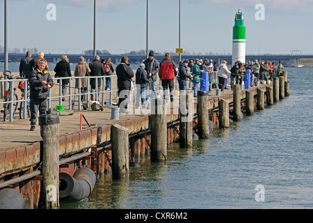 Angler am Pier-Angeln auf Hering in der historischen Hafen Stralsund, Mecklenburg-Vorpommern, PublicGround Stockfoto