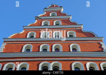 Historische Giebel in der alten Stadt Stralsund, UNESCO-Weltkulturerbe, Mecklenburg-Vorpommern, PublicGround Stockfoto