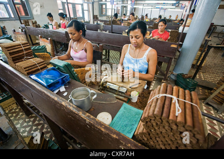 Einige der mehr als 100 Mitarbeiter in der Fabrica de Tabaco-Carlos Rodriguez Cariaga Zigarrenfabrik, Ciego de Avila, Kuba Stockfoto