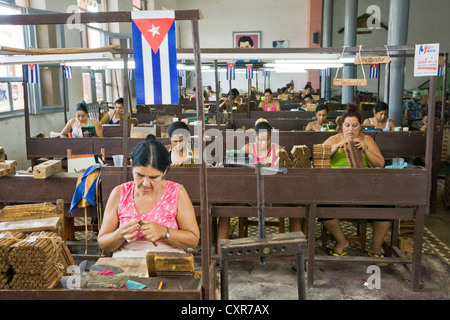 Einige der mehr als 100 Mitarbeiter in der Fabrica de Tabaco-Carlos Rodriguez Cariaga Zigarrenfabrik, Ciego de Avila, Kuba Stockfoto