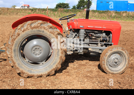 Oldtimer Massey Fergieguso 35-Traktor auf einem Pflügen Spiel im Pelynt in der Nähe von Looe in Cornwall an einem Herbsttag Stockfoto