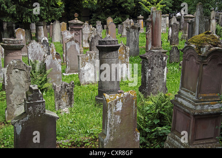 Grabsteine, jüdischer Friedhof, Bad Buchau, Oberschwaben, Baden-Württemberg, Deutschland, Europa Stockfoto