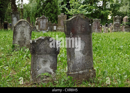 Jüdischer Friedhof, verwittert, alte Grabsteine, Bad Buchau, Oberschwaben, Baden-Württemberg, Deutschland, Europa Stockfoto