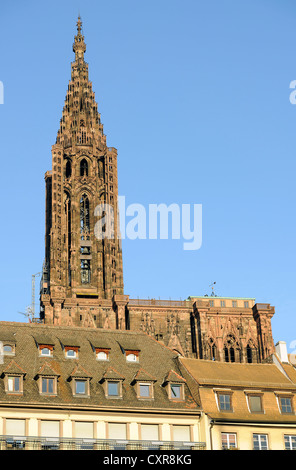 Nordturm, Südseite, Straßburger Münster, Kathedrale unserer lieben Frau von Straßburg, Straßburg, Bas-Rhin-Abteilung, Alsace Stockfoto