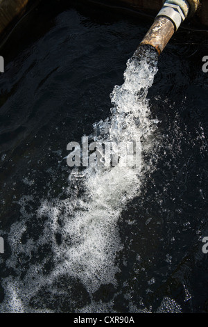 Wasser in einem Vorratstank bevor er auf einem Reisfeld für Bewässerung gepumpt wird. Andhra Pradesh, Indien Stockfoto