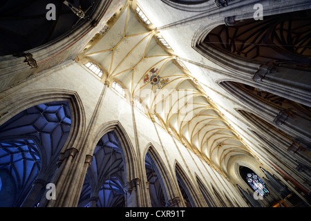 Ventana münster