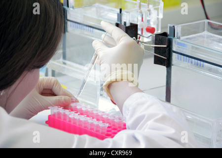 Wissenschaftler arbeiten in einem Labor Stockfoto