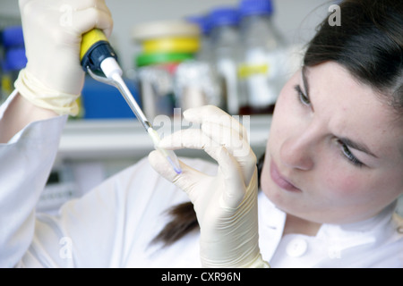 Wissenschaftler arbeiten in einem Labor Stockfoto