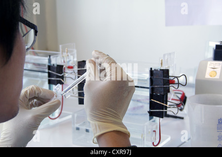 Wissenschaftler arbeiten in einem Labor Stockfoto