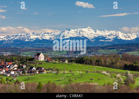 Blick auf die Alpen im April mit Säntis-Berg, Alpstein Berg und die Burg in Freudental, Region rund um den Bodensee Stockfoto