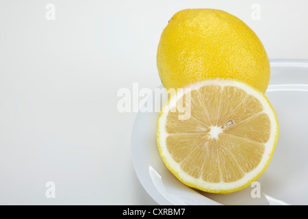 Zitrone (Citrus Limon), ganze und halbierte, auf einem weißen Teller Stockfoto