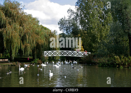 Riverside Park St Neots Cambridgeshire Stockfoto