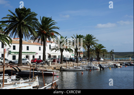 Angeln, Boote und Palmen im Hafen von Fornells, Minorca, Menorca, Balearen, Mittelmeer, Spanien, Europa Stockfoto