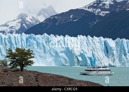 Touristenboot vor dem Gletschereis der Perito Moreno Gletscher, See Lago Argentino, Provinz Santa Cruz, Patagonien Stockfoto