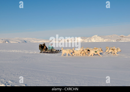 Hundeschlitten Reise zum Ilulissat Fjord, Grönland, Arktis Nordamerika Stockfoto