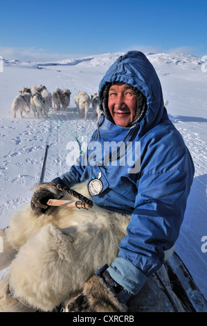 Hundeschlitten Guide, Hundeschlitten Reise nach Ilulissat Fjord, Grönland Flagge, Grönland, Arktis Nordamerika Stockfoto