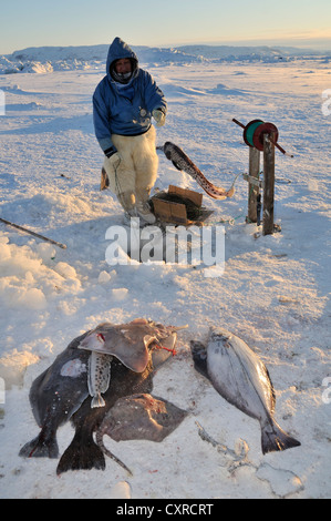 Inuit-Fischer bei der Langleinenfischerei am Ilulissat Fjord, Grönland, Arktis Nordamerika Stockfoto