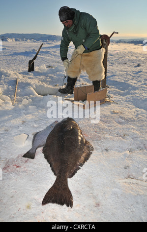 Inuit-Fischer bei der Langleinenfischerei am Ilulissat Fjord, Grönland, Arktis Nordamerika Stockfoto