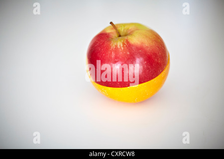 Apple die Hälfte und orange Hälfte als eine Frucht Stockfoto