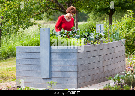 Ältere Frau, Rentner, 70-80 Jahre alt, arbeitet an einem Hochbeet in einem Garten, Bengel, Rheinland-Pfalz, Deutschland, Europa Stockfoto