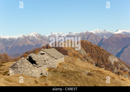 Traditioneller Stein Bauernhof Häuser, Rustico, Bergen im Hintergrund, Herbst, in der Nähe von Lionza, Tessin, Schweiz, Europa Stockfoto