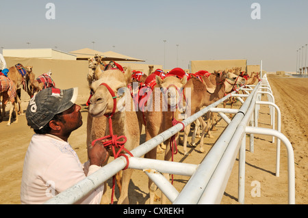 Al Sheehaniya, Kamelrennen Track, Doha, Katar, Vereinigte Arabische Emirate, Naher Osten Stockfoto