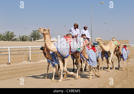 Al Sheehaniya, Kamelrennen Track, Doha, Katar, Vereinigte Arabische Emirate, Naher Osten Stockfoto