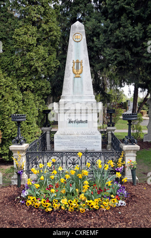 Das Grab des österreichischen Komponisten Ludwig van Beethoven auf dem Zentralfriedhof Friedhof, Wien, Österreich. Stockfoto