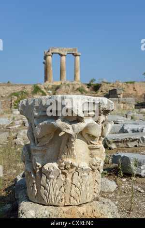 6. Jahrhundert v. Chr. der Apollotempel von Agora, antike Korinth, Korinth Gemeinde, Region Peloponnes, Griechenland Stockfoto