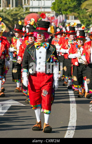 Straßenkarneval in Santa Cruz, der Hauptstadt von Teneriffa, Kanarische Inseln, Spanien, Europa Stockfoto