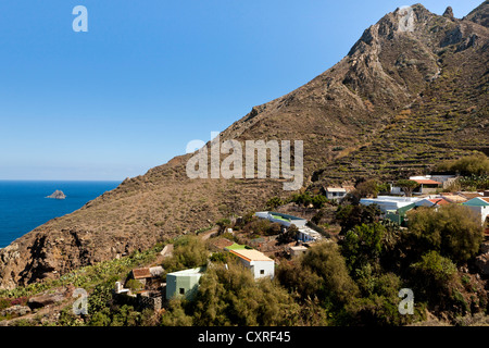 El Draguillo im Anaga-Gebirge, Anaga, nordöstlichen Teneriffa, Kanarische Inseln, Spanien, Europa Stockfoto