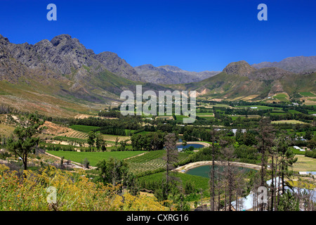 Franschhoek Weinbaugegend, Kapregion, Western Cape, Südafrika, Afrika Stockfoto