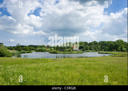 Wallmuseum, slawische Dorf und See Wallsee, Oldenburg in Holstein, Ostsee, Schleswig-Holstein, Deutschland, Europa Stockfoto