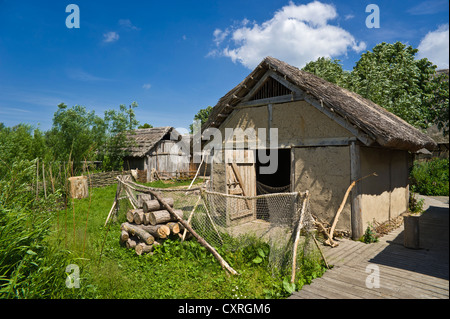 Wallmuseum, slawische Dorf, Oldenburg in Holstein, Ostsee, Schleswig-Holstein, Deutschland, Europa Stockfoto