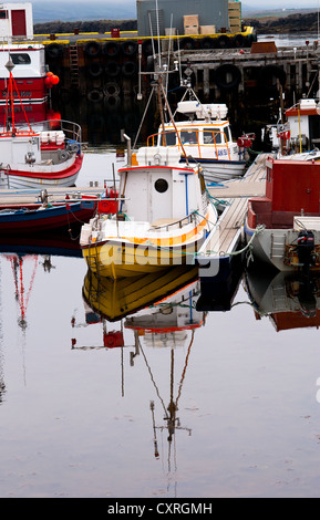 Djupivogur Hafen, Ost-Island Stockfoto